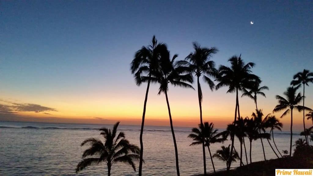 Pats At Punalu'U - Beachfront Condo 7 Hau'ula Zewnętrze zdjęcie